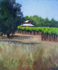 Vineyard with Barn