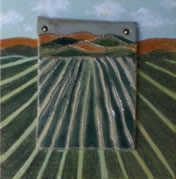 California Vineyards III