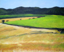 Vineyard At Dry Creek Road II