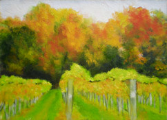 Vineyards at Williamsburg Winery