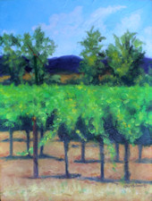 Windmill in the Vineyard