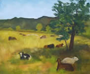 Cows In a Field