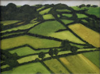 Fields & Hedgerows III
