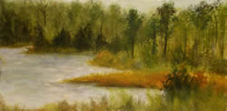 Indian Field Creek I