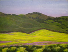 Napa Mustard Fields