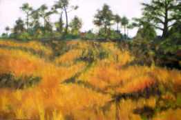 Seaford Wetlands II