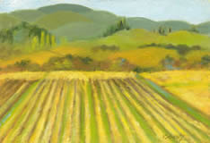 Sonoma Vineyard III