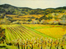 Sonoma Vineyard I