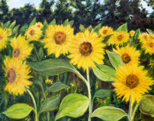 Sunflowers